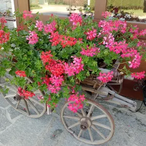 Del Contadino Bed & Breakfast